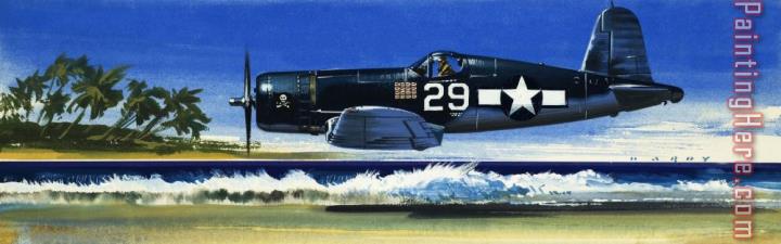 Wilf Hardy Into the Blue American War planes
